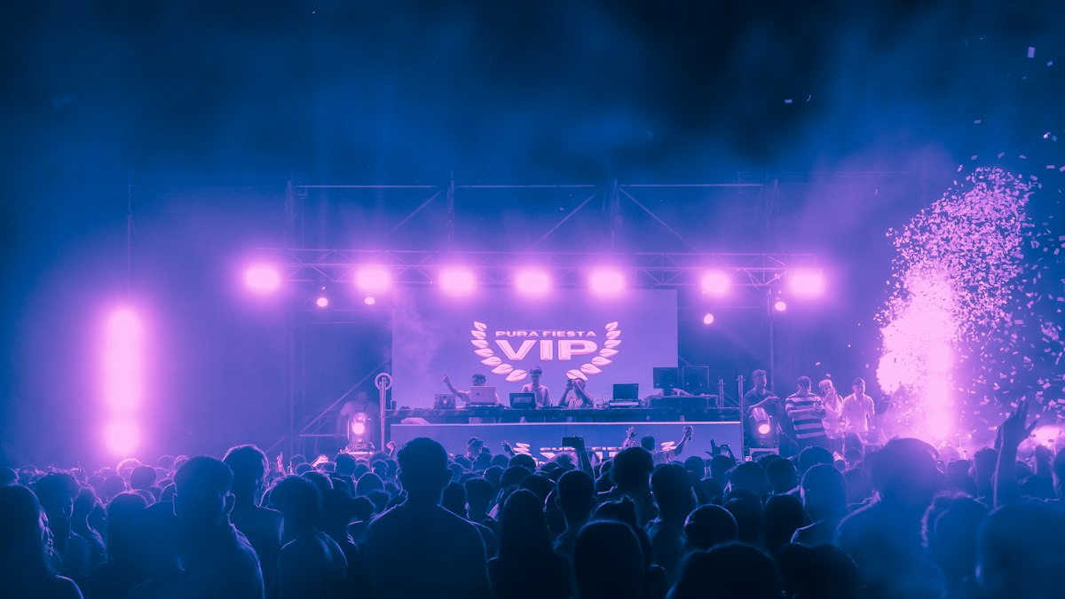 Crowd at a live music event